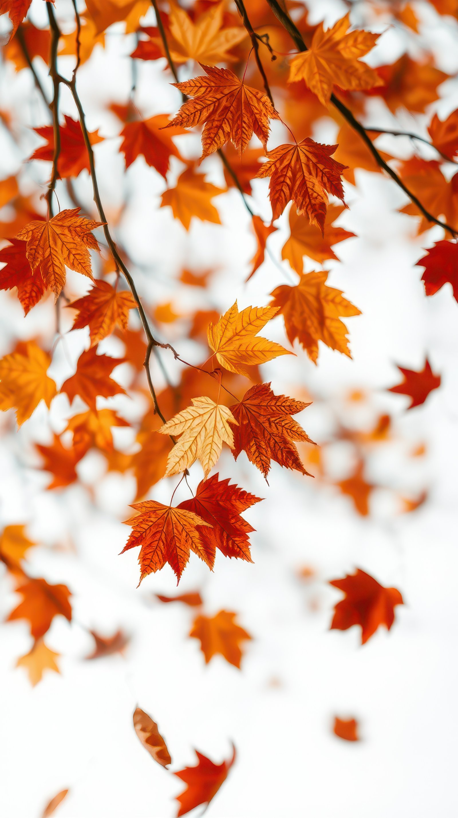 Vibrant autumn leaves falling gently from branches against a soft, cloudy background
